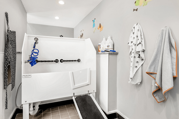 A white bathtub with a blue shower head and faucet at Paces Pointe Apartment Homes, Matthews, NC, 28105